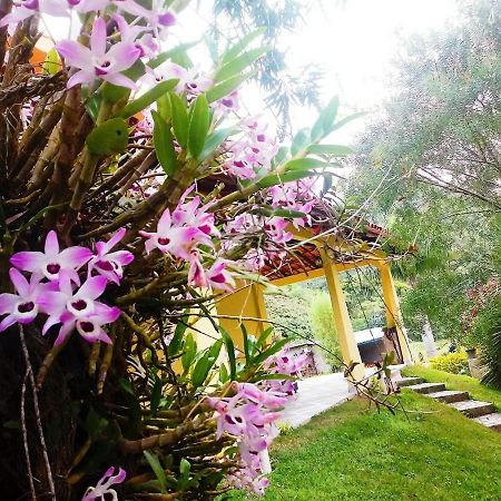 Casa Com Flores Pedra Azul  Exterior photo